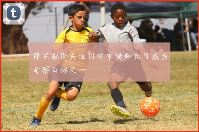那不勒斯关注门将市场科瓦日成为考察目标之一